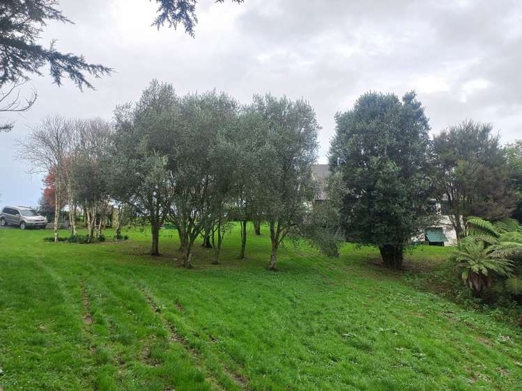 155 Woolrich Road Te Kowhai_26