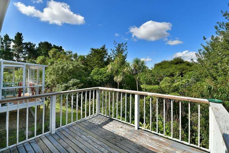 130 Shanks Road Helensville_7
