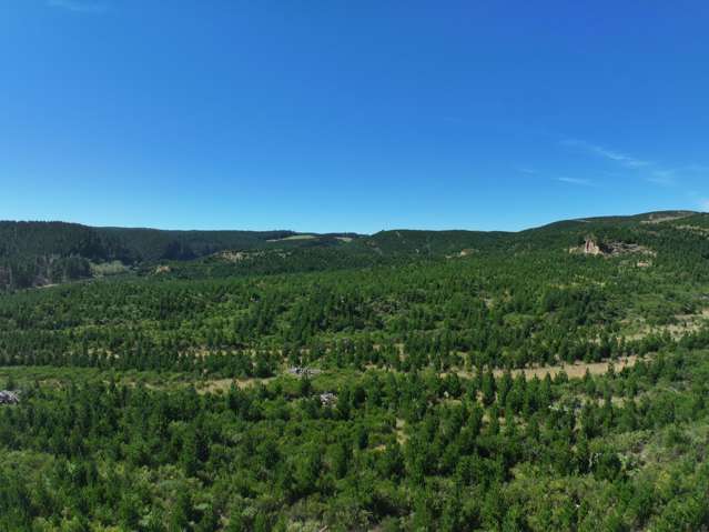 Waitahuna Gully Road Waitahuna Gully_3