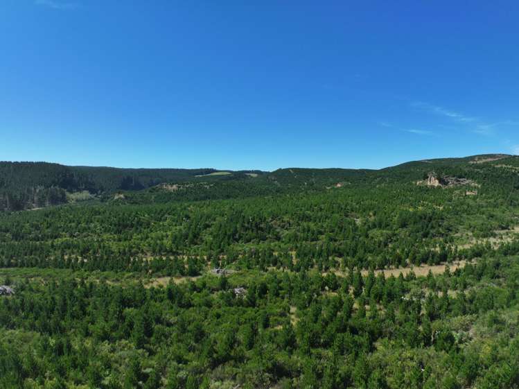 Waitahuna Gully Road Waitahuna Gully_3