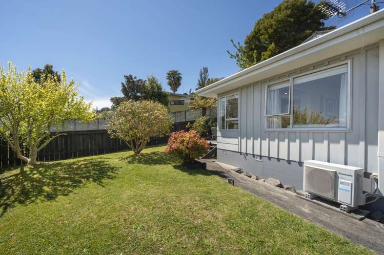 46 Westwood Street Bellevue_15