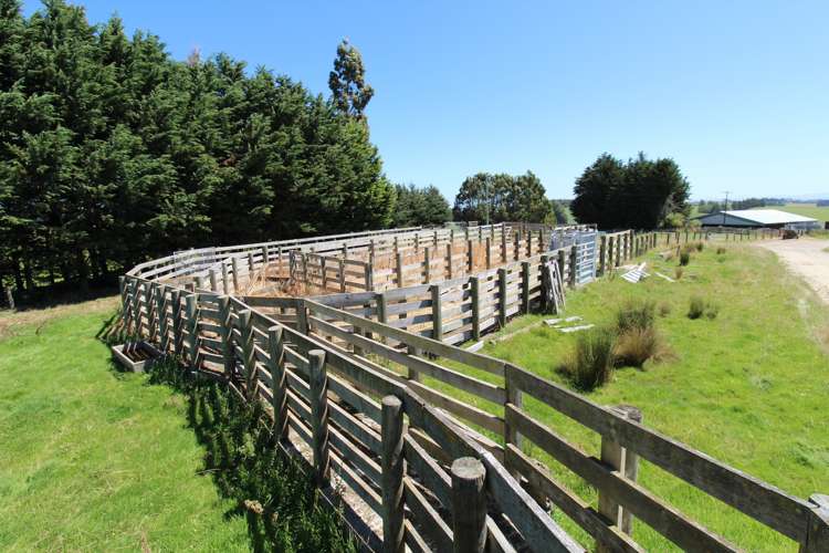 1271 Waikaka Valley Highway Gore Surrounds_9