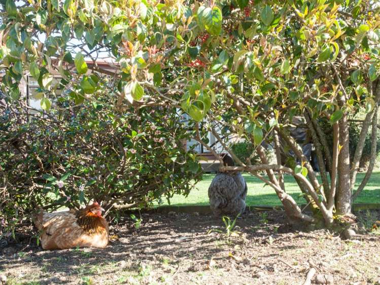 997 State Highway 53 Tauwharenikau_16