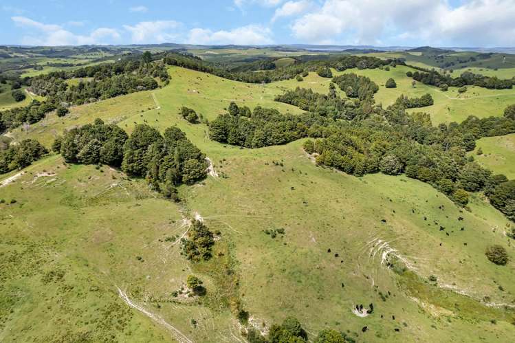 123 Homackey Road Matakohe_4