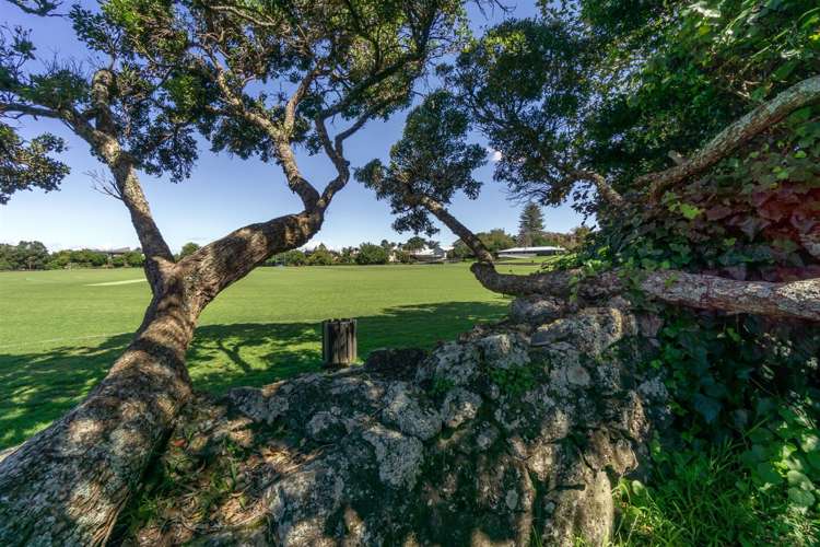 6 Kohia Terrace Epsom_2