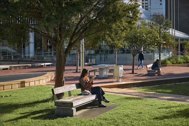 Suite 3/2 Wakefield Street Auckland Central_5