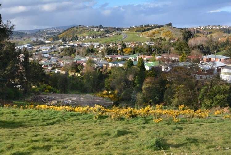 57 Koremata Street Green Island_1