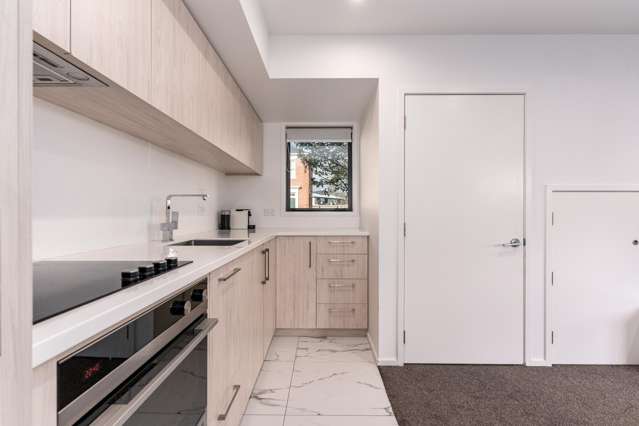 Unit 1/21 Hargest Crescent Sydenham_4