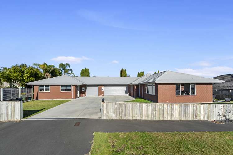 2a Murray Street Maeroa_0