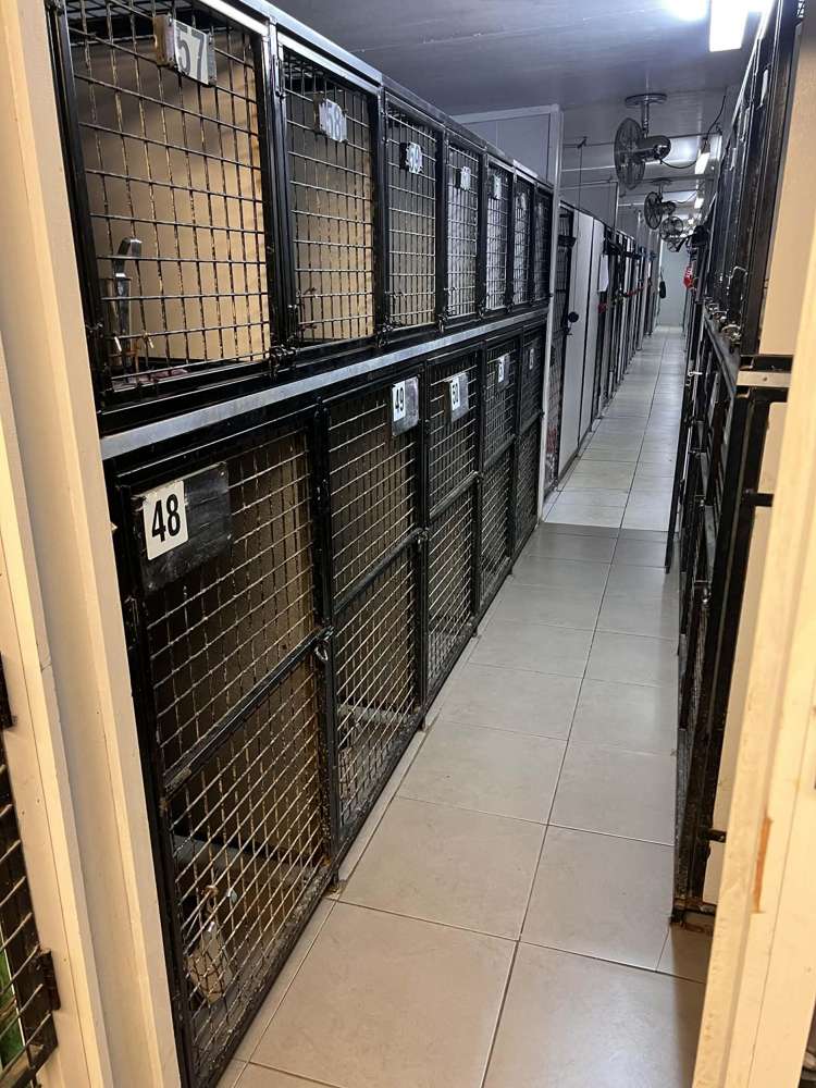 128 Mako Mako Road Levin_25