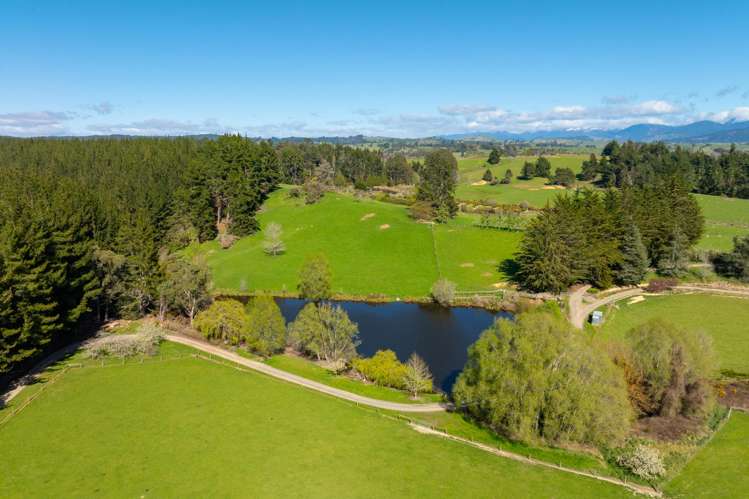 240 George Harvey Road Upper Moutere_26