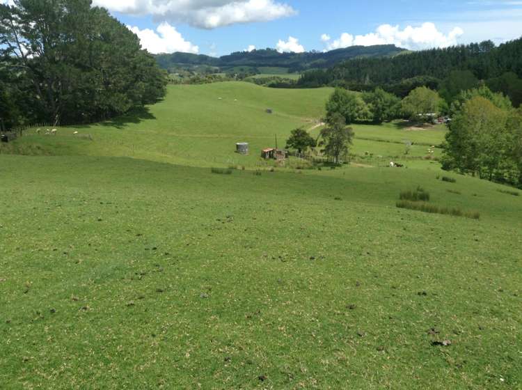 40 Linton Road Kaipara Flats_11