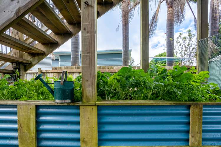 8 Manawa Drive Ngunguru_9