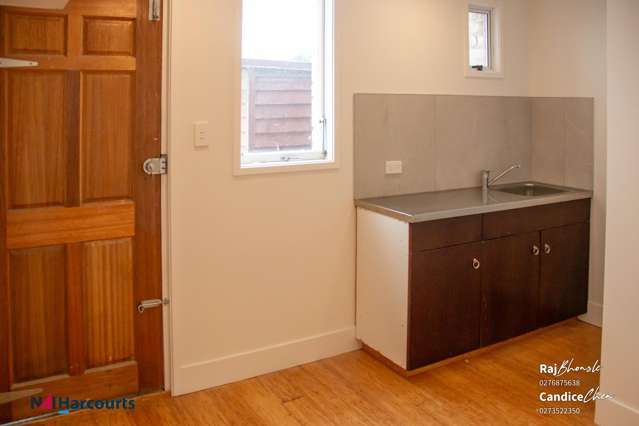 315 Dominion Road Mt Eden_4