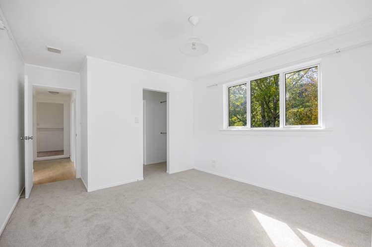 117 Ahuroa Valley Road Ahuroa_6