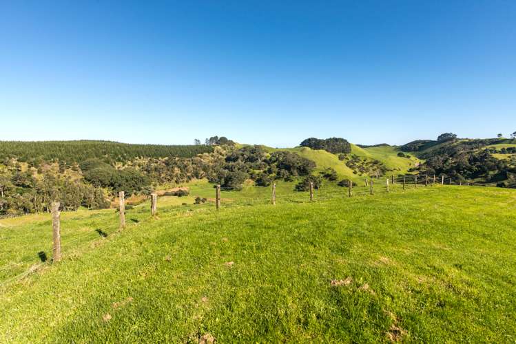 36 Goudie Road Helensville_9