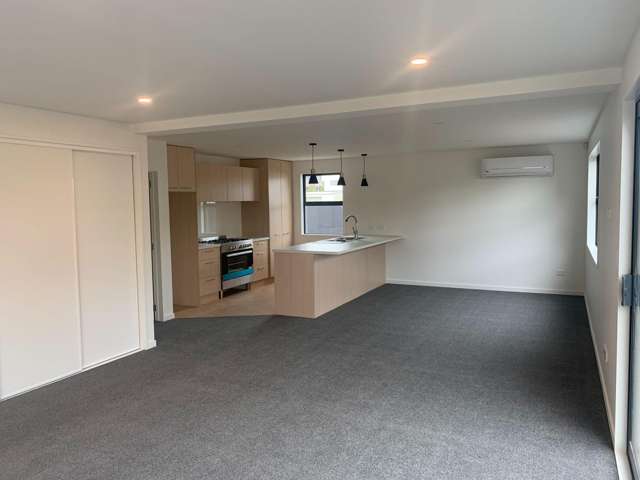31A Gracefield Av Christchurch Central_3