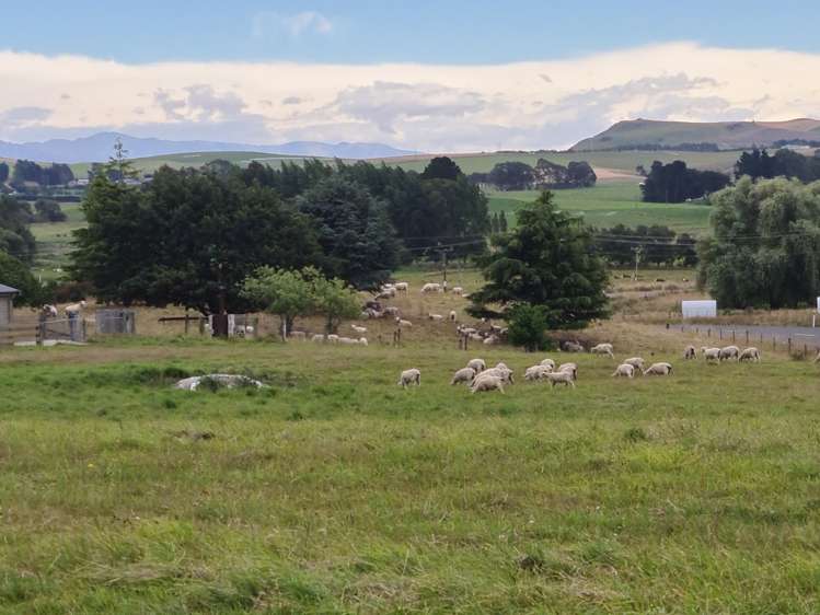 81 Homestead Road Weston_5