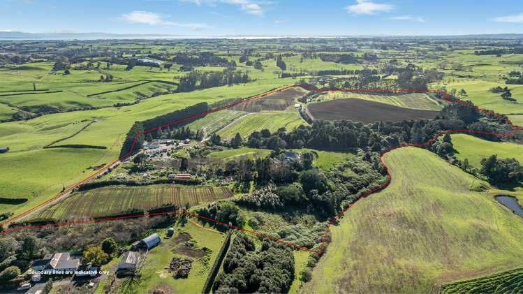 156 Schlaepfer Road Pukekohe_1