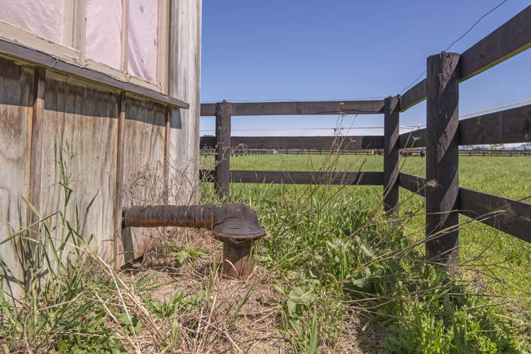 289 Johns Road Fernside_5