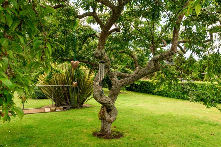 36 Dumfries Road Tokoroa_25