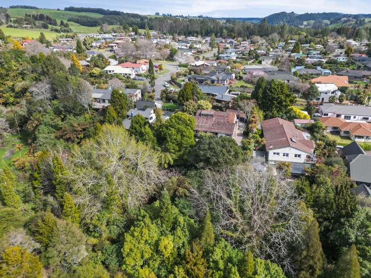 22 Willmott Place Springfield_24