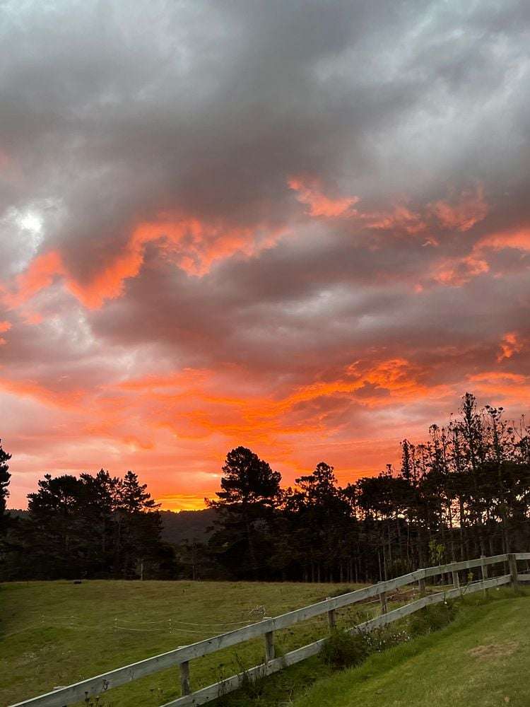 48 Christian Road Swanson_25