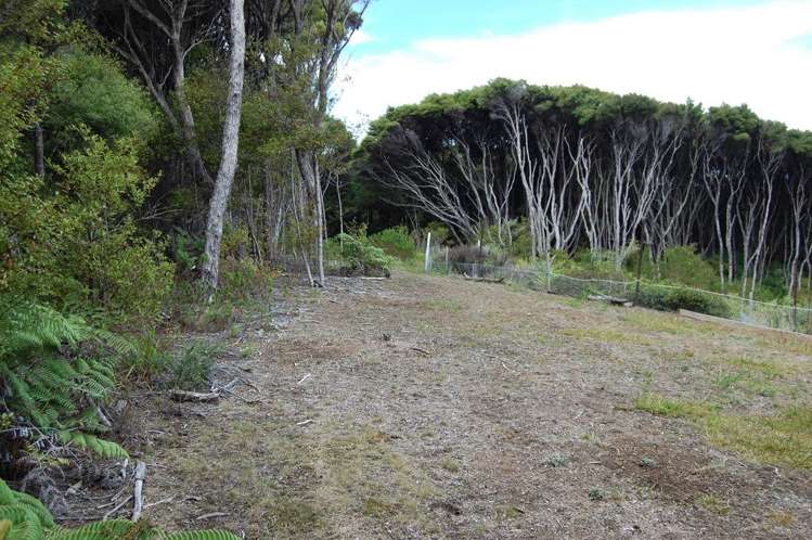 396h Shoal Bay Road Great Barrier Island (Aotea Island)_5