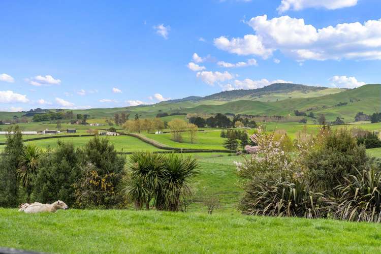 311 Bell Road Morrinsville_18