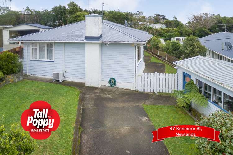 47 Kenmore Street Newlands_13