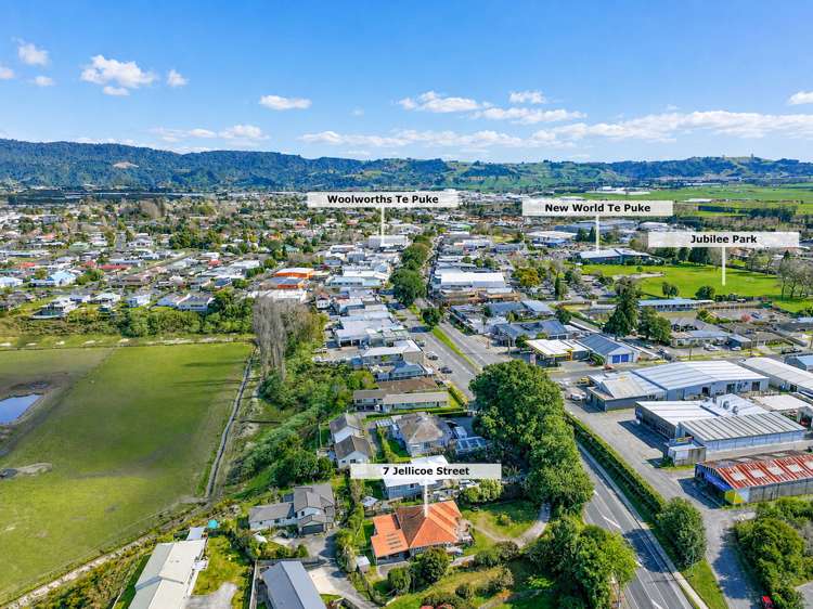 7 Jellicoe Street Te Puke_12