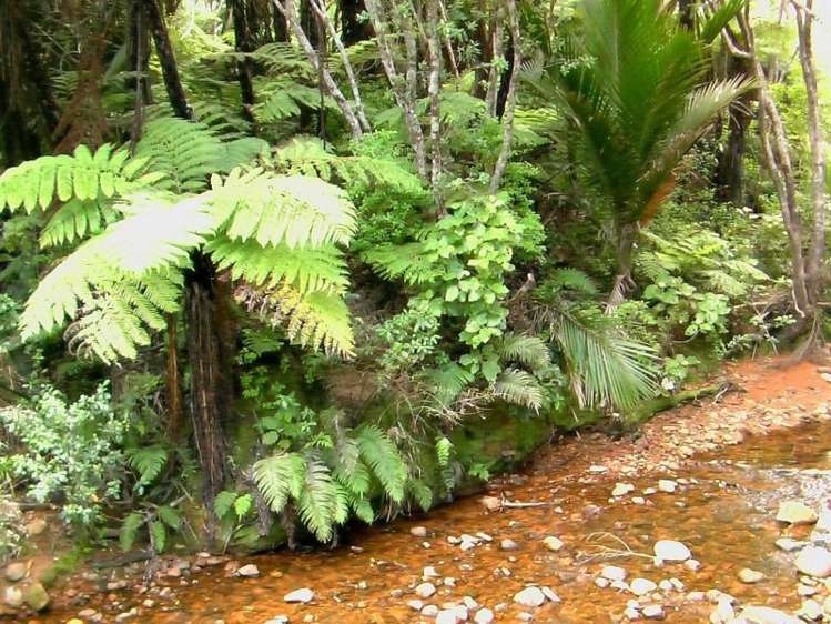 219 Sailors Grave Road Pumpkin Hill_5