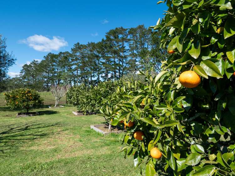 223A Ness Road Kerikeri_31