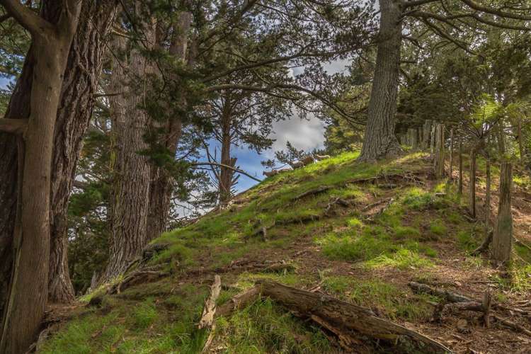 430 Krippner Road Puhoi_4