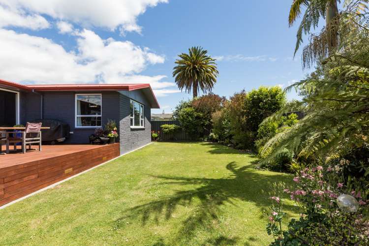 34 Buckingham Street Whakatu_12