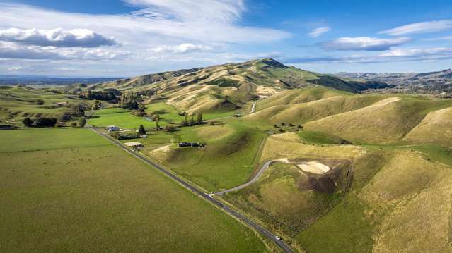 1427 Middle Road Poukawa_3