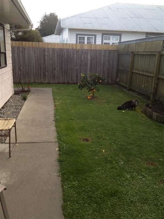 2b Gascoigne Street Riversdale_4