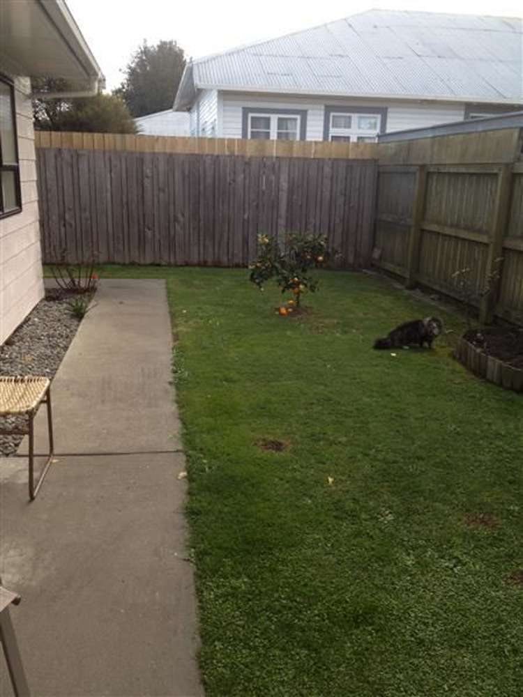 2b Gascoigne Street Riversdale_4