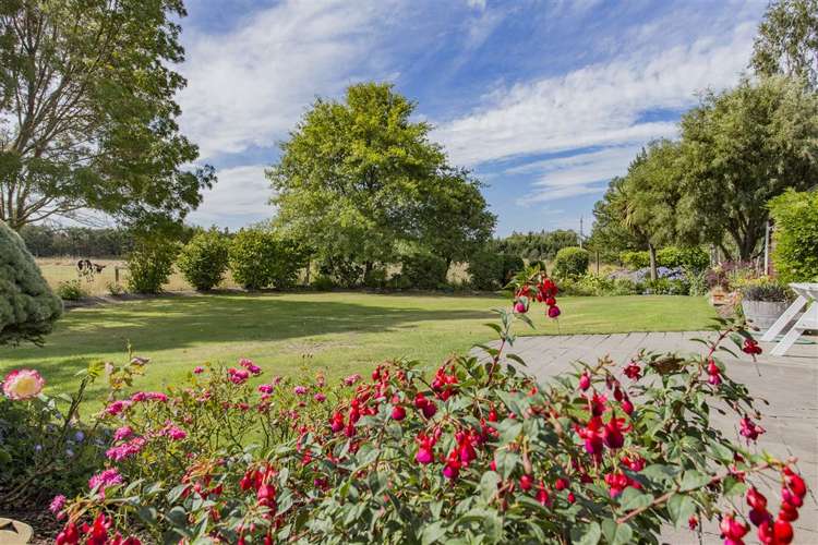 157 Flaxton Road Flaxton_19