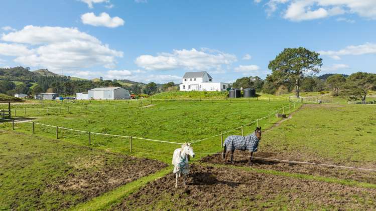 259 Mcphail Road Oropi_18