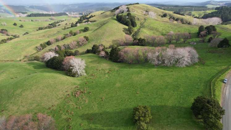 78 Otioro Road Topuni_12