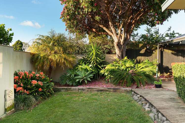 64 Manuwai Drive Matua_15