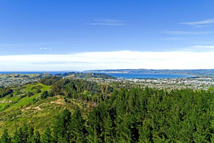 Riverside Road Matokitoki_6