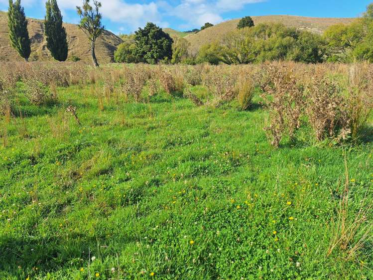 Mangaone Road Pongaroa_15