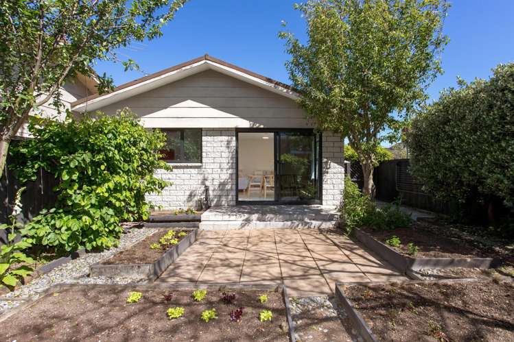 7 Roxburgh Street Sydenham_7