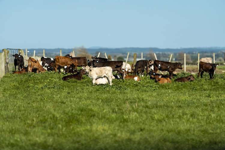 98 Pukehina Parade Pukehina_22