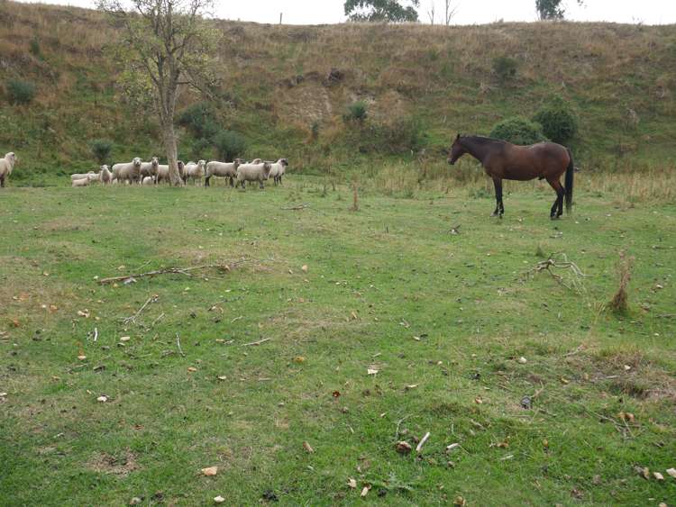 1390 Dunback-Morrisons Road Waynes_21