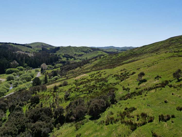 White Rock Road Martinborough_17