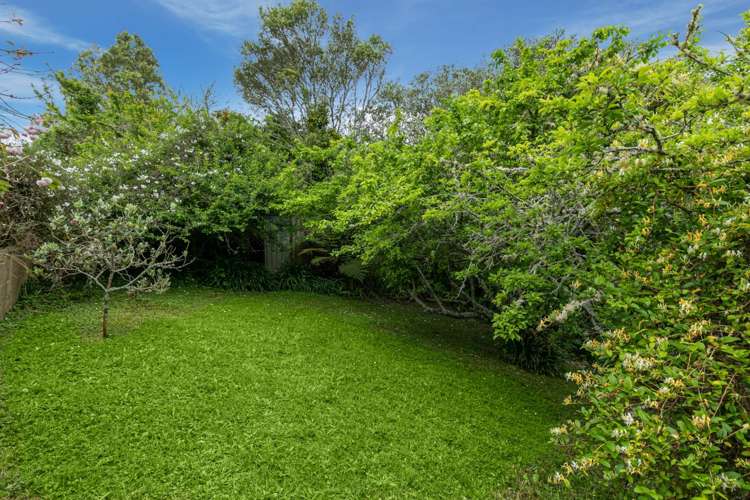 31 Matipo Road Mairangi Bay_32