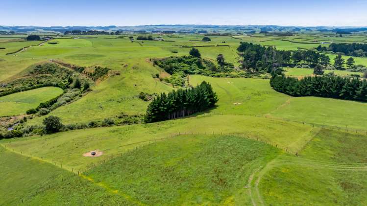 0n Douglas Street Sections Hawera_7